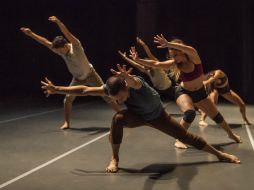 En la Muestra Nacional de Danza, las compañías participarán en diferentes formatos escénicos. ARCHIVO /