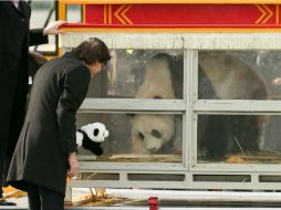 El oso es saludado por Di Rupo, quien le dio trato de mandatario. EFE /