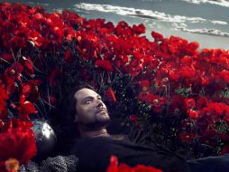 Destaca el primer acto, que se  desarrollará en un campo de 12 mil 500 amapolas rojas hechas a mano. ESPECIAL /