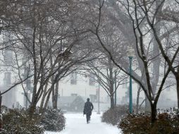 La mayor parte de la zona metropolitana luce semidesierta y con muy pocos vehículos circulando. AFP /