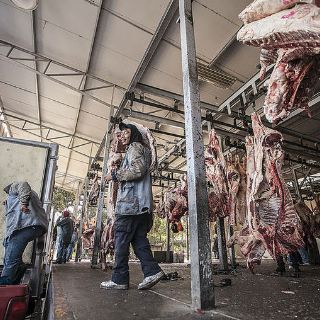 Jalisco tendrá seis rastros TIF este año