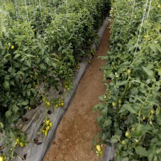 Implementan programa piloto 'Jóvenes a la Vanguardia'