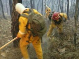 La Dirección de Ecología lo anunció mediante redes sociales. Twitter: @ZapopanGobierno. ESPECIAL /