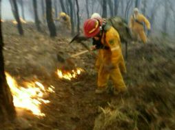 Alrededor de 150 combatientes forestales trabajarán toda la noche del domingo para tratar de controlar el incendio. ESPECIAL /