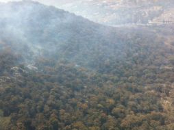 Hasta el momento se desconoce el origen del incendio forestal. ESPECIAL /
