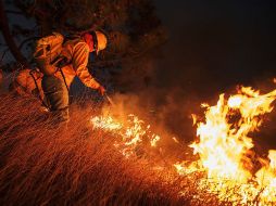 Del total de incendios en lo que va del año, cinco se han presentado en el Bosque de la Primavera. ARCHIVO /