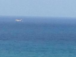 Esta es una de las imágenes que se compartieron en redes sociales. Twitter: @Mao_a_Moon. ESPECIAL /