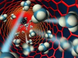 La cubierta se disuelven en un medio salino y caliente como el del organismo humano. ESPECIAL /