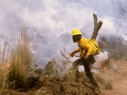 Prevén un año crítico por las condiciones ambientales que se registran en la entidad. ARCHIVO /