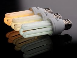 Sugieren como medida principal sustituir las lámparas incandescentes (focos) por lámparas fluorescentes compactas. ESPECIAL /