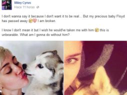 Cyrus ha publicado constantemente imágenes de ella y del perro en sus redes sociales. ESPECIAL /