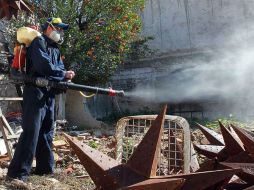 Para intensificar la fumigación, la Secretaría de Salud de Jalisco proporciona el apoyo de 85 brigadistas. ARCHIVO /