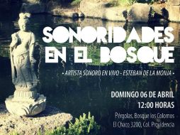 'Sonoridades del bosque' es un proyecto que cada mes presentará diversos artistas que armonicen distintas áreas del bosque. ESPECIAL /