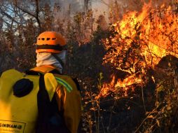 Personal de Bomberos forestales permanece en el lugar para vigilar que no se reactive el fuego.  /