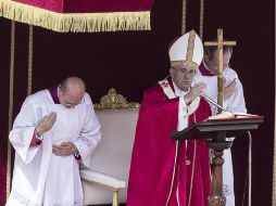 El Papa Francisco preside la homilía dominical luego de la procesión de Ramos. EFE /