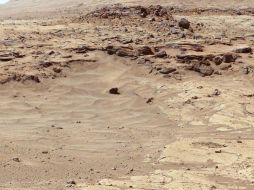 Hay una teoría que indica que las bacterias provienen del cosmos y se adaptaron a La Tierra. AFP /