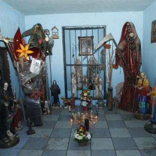 Liberan a joven argentina que vivió nueve años encerrada con animales