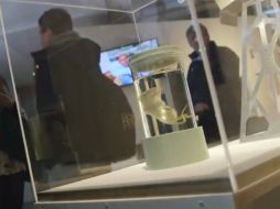 El artísta Koby Barhad, creó una de las piezas que se exhiben, con material genético de Elvis Presley. ESPECIAL /