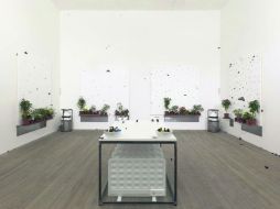 En la exposición ''In and Out of Love'', Damien Hirst mantuvo cautivas a cientos de mariposas para que revoloteaban en la sala.  /