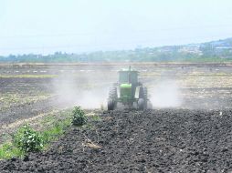 El Campo. Ha perdido productividad aceleradamente en la última década.  /
