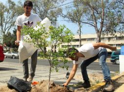Cada semestre los estudiantes participan en el proyecto de reforestación.  /
