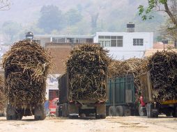 Las exportaciones de azúcar mexicana a EU crecieron de 1.4 millones de toneladas métricas en 2011 a cerca de 2.1 millones en 2012.  /