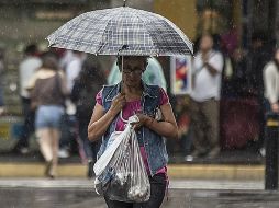 El Instituto de Astronomía y Meteorología de la UdeG adelantó que el temporal este año será abundante.  /