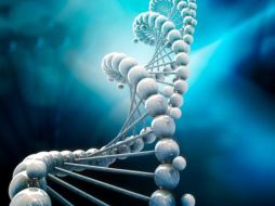 La vida en la Tierra en toda su diversidad está codificada sólo por dos pares de bases de ADN, A-T y C-G, explican científicos. ARCHIVO /