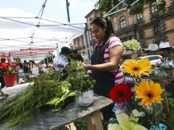 Once floristas del siniestrado Mercado Corona pudieron instalarse en la plazoleta frente a la Preparatoria Jalisco.  /