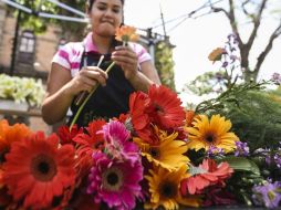 Se espera una participación de cien mil personas que podrán adquirir flores de época, plantas y artículos para huertos urbanos. ARCHIVO /