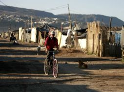 El alcalde de Zapopan asegura que se trata de lugares construidos con láminas o cartón, que probablemente sean de otros estados. ARCHIVO /