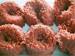 La carne está en proceso de ser removida. ARCHIVO /