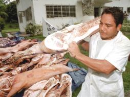 A casi un año de ser detectado el primer caso de DEP en porcinos, se han implementado varias preventivas sanitarias para estabilizarlo. ARCHIVO /