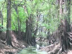 Belleza. El arroyo de Tepatitán, una de las maravillas naturales que ofrece Jalisco.  /