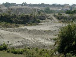 Conafor solicita el reintegro de los recursos cuando se demuestra que éstos fueron desaprovechados, pero los litigios pueden durar años ARCHIVO /