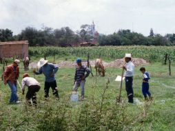 Campesinos dicen tener más de 70 años trabajando esas tierras. ARCHIVO /