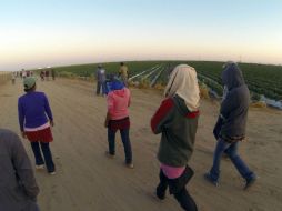 Algunos ranchos les permiten regresar a su tierra; otros les tiene atados por las 'tiendas de raya'. SUN /