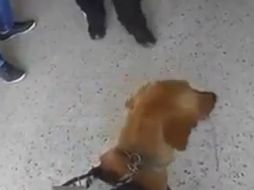 La agresión ocurrió el 23 de octubre de 2013, pero el video fue difundido recientemente en redes sociales. ESPECIAL /