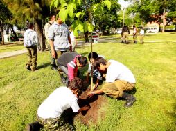 En 2013, se plantaron 12 mil 500 árboles en áreas verdes de Guadalajara. ARCHIVO /