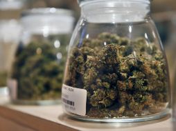 NY se convierte en el estado 23 del país que autoriza el uso de la sustancia con fines medicinales. ARCHIVO /