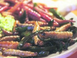 Los platillos están elaborados a base de gusanos y escamoles, y algunos otros con insectos que se consiguen por temporada. ESPECIAL /