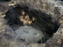 Hasta el momento se han exhumado al menos 41 cuerpos en la fosa descubierta en el rancho 'El Diamante'. ARCHIVO /