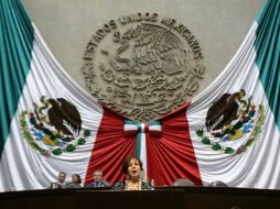 El PRD pide a su diputada Purificación Carpinteyro se excuse de participar en las reformas en materia de telecomunicaciones. ESPECIAL /