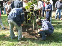 La campaña de reforestación en Zapopan tendrá vigencia hasta mes de agosto. ARCHIVO /