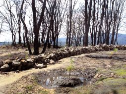 En sesión ordinaria la Junta de Gobierno del OPD determinó los términos para elegir al nuevo director. ARCHIVO /