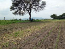 Se notificó al Servicio Médico Forense y a la Fiscalía del hallazgo. ESPECIAL /