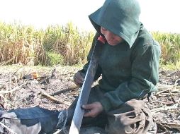 El accidente de los menores jornaleros fue causado por un estallido de neumático y a la velocidad de la camioneta. ARCHIVO /