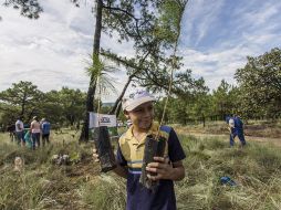 Fue en 2005 cuando Extra AC comenzó con su proyecto 'Hagamos de la ciudad un bosque urbano'.  /