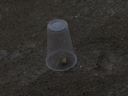 El Ministerio Público definirá si investiga el caso bajo el protocolo de feminicidio. ARCHIVO /