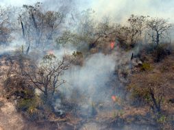 Es posible que en 2015 se incremente el número de incendios y superficie afectada, debido a la abundante humedad. ARCHIVO /
